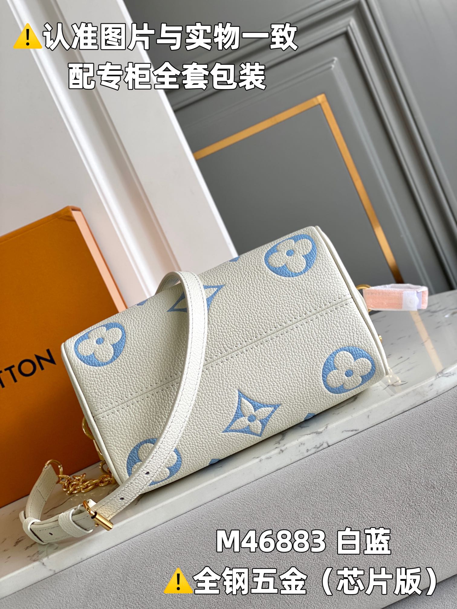 Louis Vuitton Speedy Bags